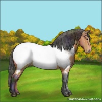 Horse Color:Nacre Bay Near Fewspot 