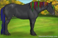 Horse Color:Painted Black Varnish Rabicano