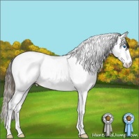 Horse Color:Plaid  Bay Ice Sabino Splash Tobiano Near Fewspot 