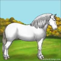 Horse Color:Plaid Smoky Grullo Ice Splash Tobiano Appaloosa