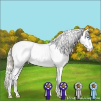 Horse Color:Plaid Palomino Ice Splash Tobiano Appaloosa