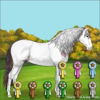 Horse Color:Plaid Bay Ice Splash Tobiano Appaloosa