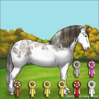 Horse Color:Plaid White Spotted Smoky Black Ice Sabino Splash
