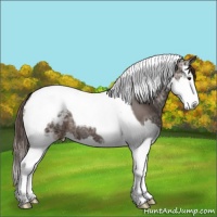 Horse Color:Liver Chestnut Ice Splash Tobiano Blanket 