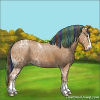 Horse Color:Painted Chestnut Ice Sabino Appaloosa