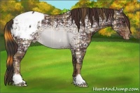 Horse Color:Plaid  Liver Chestnut Ice Snowcap 