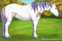 Horse Color:Painted Chestnut Ice Splash Tobiano Blanket 
