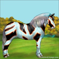 Horse Color:Nacre Thunderstruck Brown Sabino Splash Tobiano Snowcap 