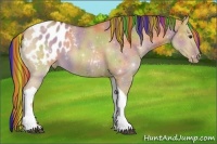 Horse Color:Painted Nacre Red Dun Tobiano Blanket 