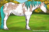 Horse Color:Painted White Spotted Chestnut Ice Splash Appaloosa 