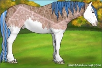 Horse Color:Painted Chestnut Ice Splash Appaloosa