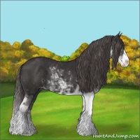 Horse Color:Liver Chestnut Sabino Varnish