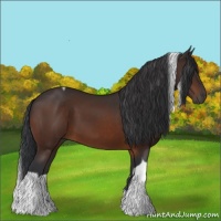 Horse Color:Bay Tobiano 