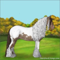 Horse Color:Liver Red Dun Tobiano Snowcap 