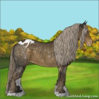Horse Color:Chocolate Palomino Appaloosa
