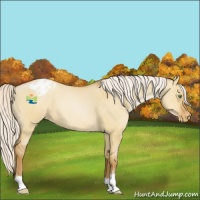 Horse Color:Silver Bay Snowdrop Pearl Dun Varnish 