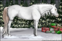 Horse Color:Brown Pearl Dun Appaloosa Brindle 