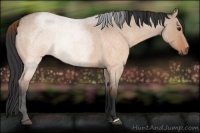 Horse Color:Brown Roan Dun Brindle