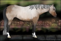 Horse Color:Brown Roan Dun Rabicano Brindle
