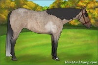 Horse Color:Brown Roan Dun Rabicano Brindle