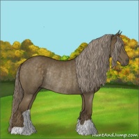 Horse Color:Chocolate Palomino Rabicano