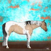 Horse Color:Brown Roan Dun Tobiano Brindle 