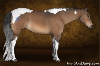 Horse Color:Bay Tobiano