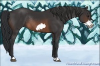 Horse Color:Brown Frame Rabicano 