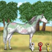 Horse Color:Watercolor Red Dun Splash and Watercolor Red Dun Splash