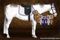 Horse Color:White Spotted Bay Sabino Splash Frame Rabicano