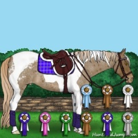 Horse Color:Chocolate Palomino Roan Tobiano Appaloosa