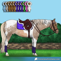 Horse Color:Chocolate Palomino Roan Tobiano Varnish 