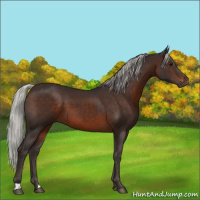 Horse Color:Silver Brown 