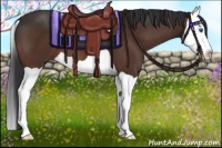 Horse Color:Brown Splash