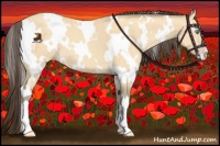Horse Color:White Spotted Amber Cream Champagne 