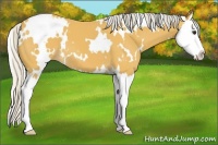Horse Color:White Spotted Silver Buckskin Splash 