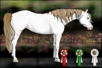 Horse Color:Chestnut Splash Near Fewspot 
