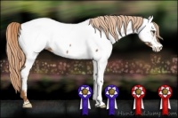 Horse Color:Red Roan Fewspot 