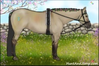 Horse Color:Liver Red Dun 