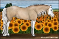 Horse Color:Silver Smoky Black Pearl Splash 