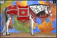 Horse Color:Blue Roan Splash Near Leopard 