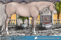 Horse Color:Platinum Gold Champagne Splash 