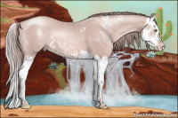 Horse Color:Platinum Gold Champagne Splash 