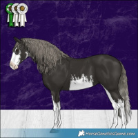 Horse Color:White Spotted Liver Chestnut Mushroom Splash 