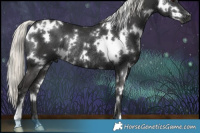 Horse Color:White Spotted Liver Chestnut Mushroom Rabicano 