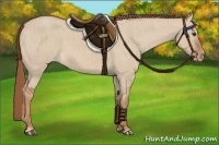 Horse Color:Red Dun Appaloosa Brindle 