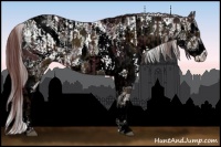 Horse Color:ERROR: UNKNOWN ANOMALY and ERROR: UNKNOWN ANOMALY