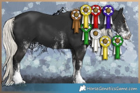 Horse Color:White Spotted Liver Chestnut Mushroom 