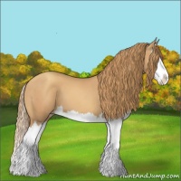 Horse Color:Gold Champagne Splash
