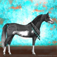 Horse Color:Blue Roan Sabino Splash  and Blue Roan Sabino Splash Frame 